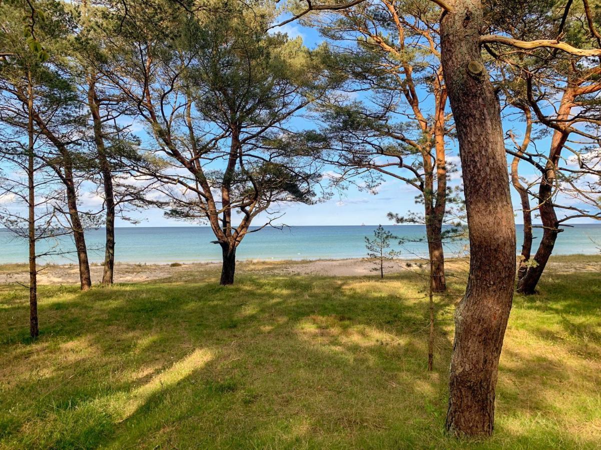 Duenenpark Binz - Wg 40 "Treibgut" Διαμέρισμα Εξωτερικό φωτογραφία